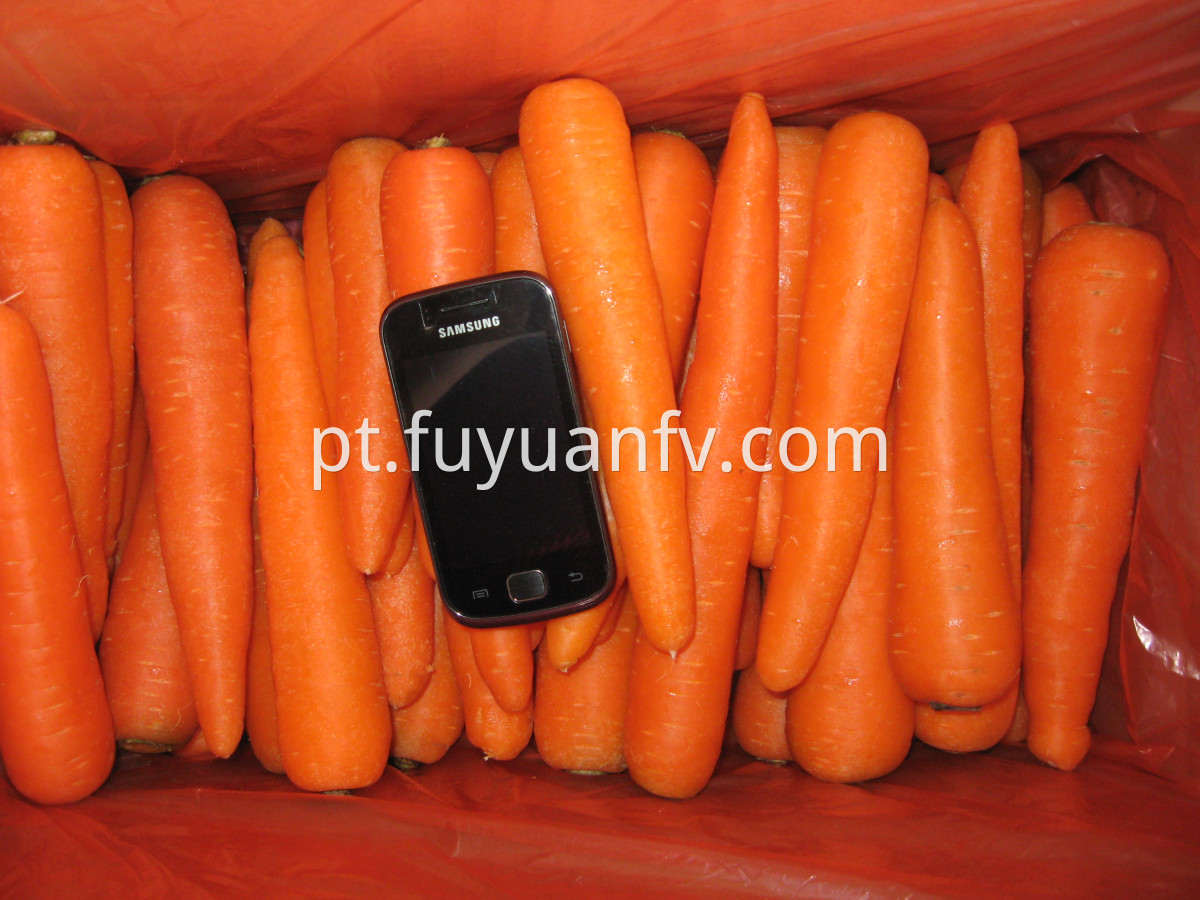high quality carrot 